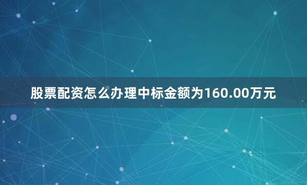 股票配资怎么办理中标金额为160.00万元